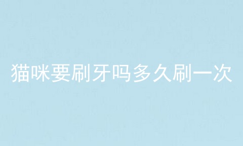 猫咪要刷牙吗多久刷一次