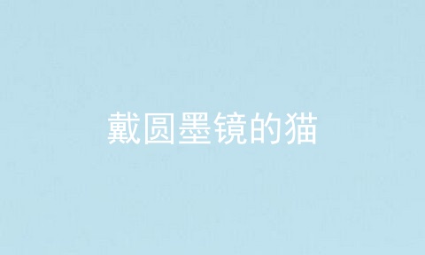 戴圆墨镜的猫