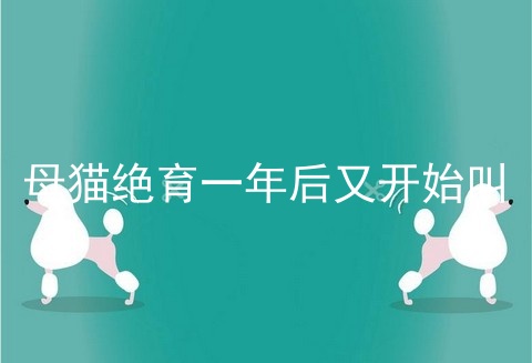 母猫绝育一年后又开始叫