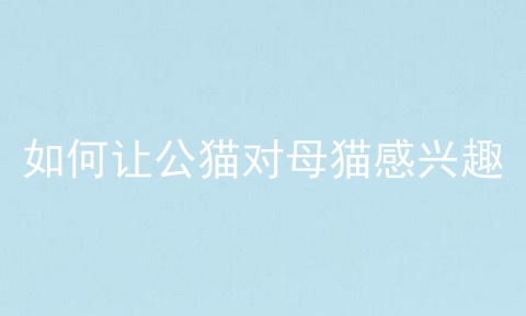 如何让公猫对母猫感兴趣