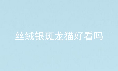 丝绒银斑龙猫好看吗