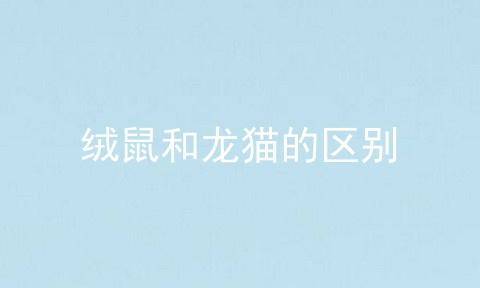 绒鼠和龙猫的区别