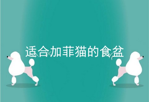 适合加菲猫的食盆