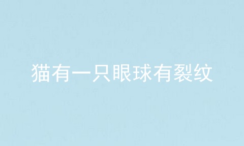 猫有一只眼球有裂纹