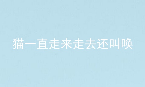 猫一直走来走去还叫唤