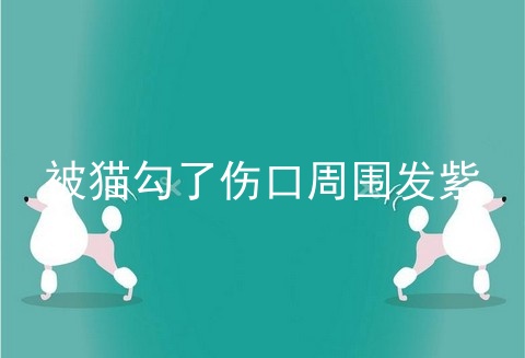 被猫勾了伤口周围发紫