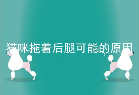 猫咪拖着后腿可能的原因
