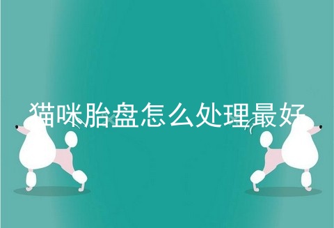 猫咪胎盘怎么处理最好