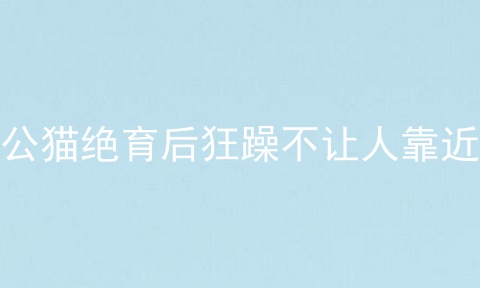 公猫绝育后狂躁不让人靠近