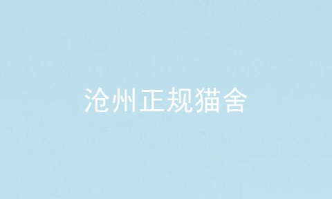沧州正规猫舍