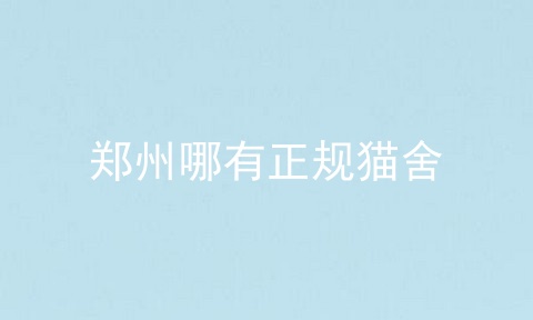 郑州哪有正规猫舍