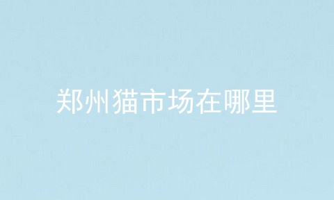 郑州猫市场在哪里