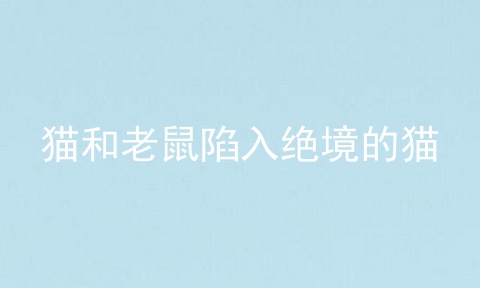 猫和老鼠陷入绝境的猫