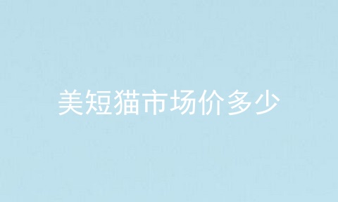 美短猫市场价多少