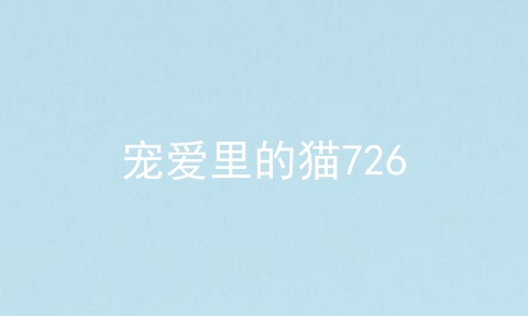 宠爱里的猫726