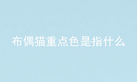 布偶猫重点色是指什么