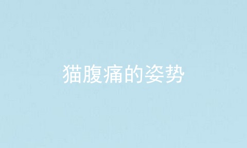 猫腹痛的姿势