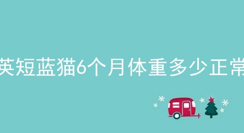 英短蓝猫6个月体重多少正常