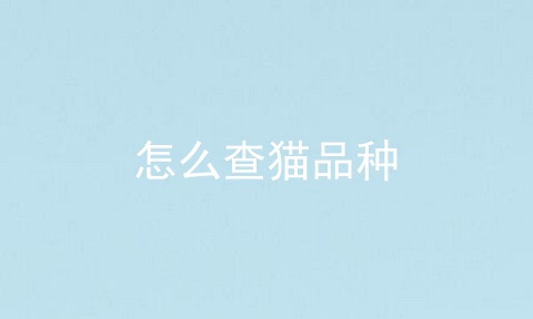 怎么查猫品种