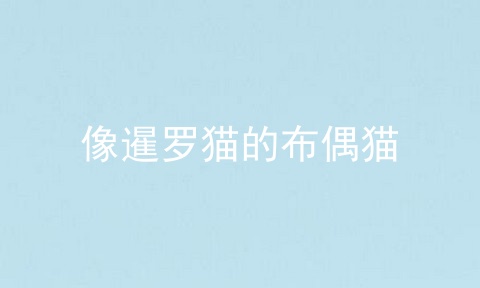 像暹罗猫的布偶猫