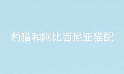 豹猫和阿比西尼亚猫配
