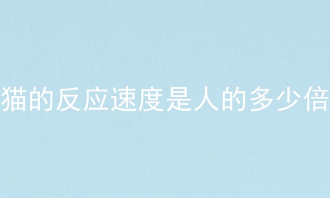 猫的反应速度是人的多少倍