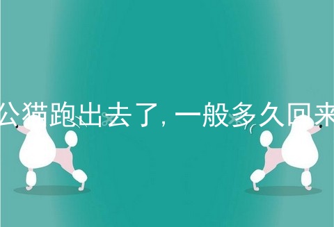 公猫跑出去了,一般多久回来