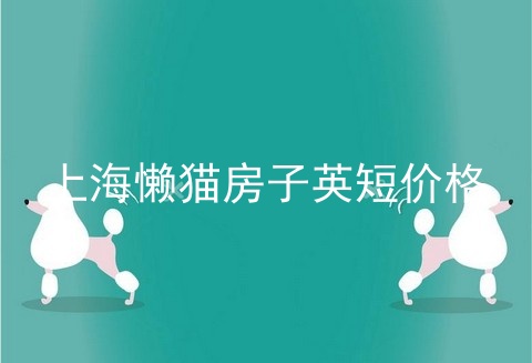 上海懒猫房子英短价格