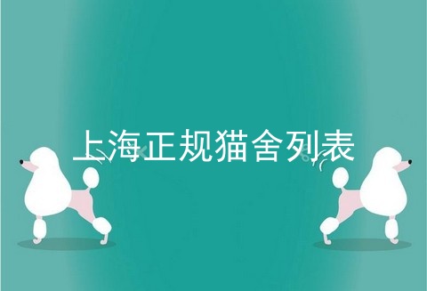 上海正规猫舍列表