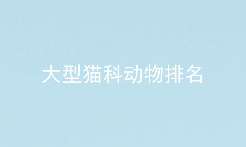 大型猫科动物排名