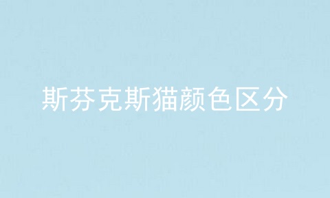 斯芬克斯猫颜色区分