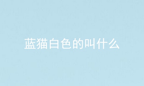 蓝猫白色的叫什么