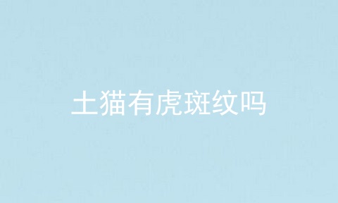 土猫有虎斑纹吗