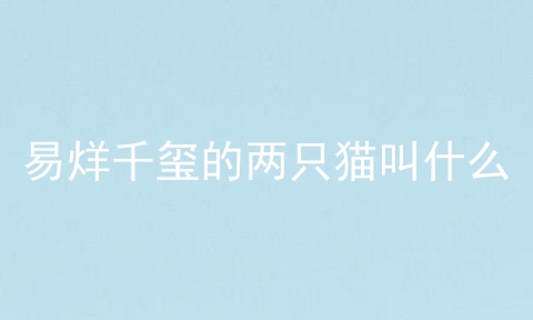 易烊千玺的两只猫叫什么