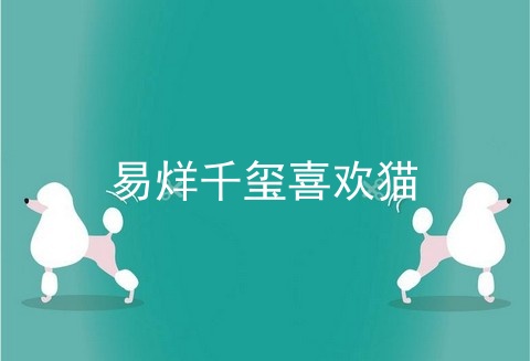 易烊千玺喜欢猫