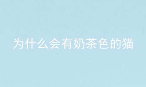 为什么会有奶茶色的猫