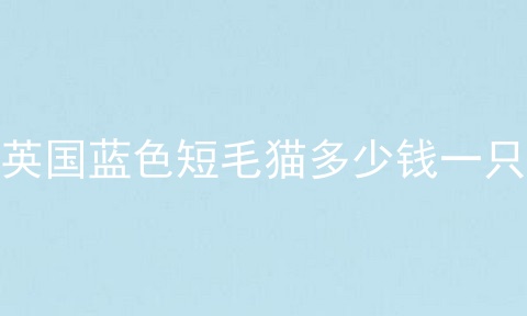 英国蓝色短毛猫多少钱一只