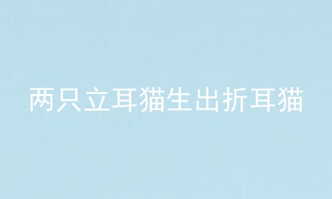 两只立耳猫生出折耳猫