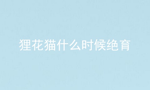 狸花猫什么时候绝育