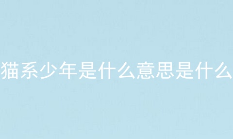 猫系少年是什么意思是什么