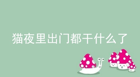 猫夜里出门都干什么了