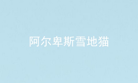 阿尔卑斯雪地猫