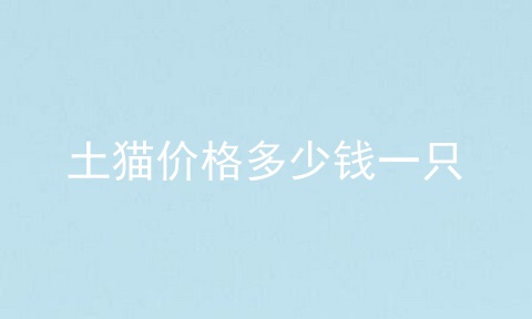 土猫价格多少钱一只