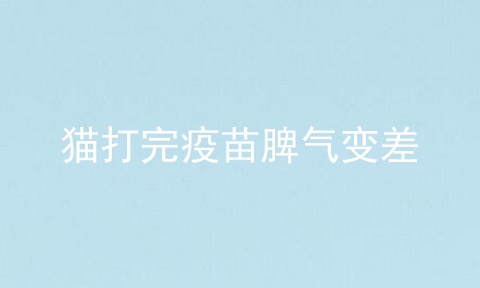 猫打完疫苗脾气变差