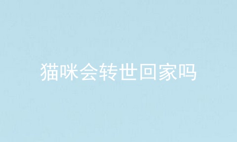 猫咪会转世回家吗