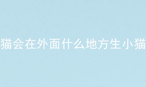 猫会在外面什么地方生小猫