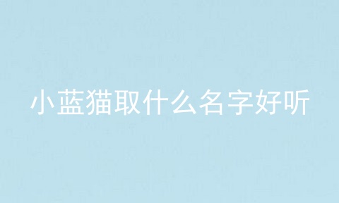 小蓝猫取什么名字好听