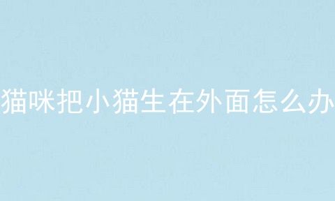 猫咪把小猫生在外面怎么办