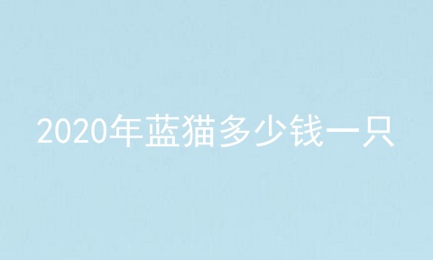 2020年蓝猫多少钱一只