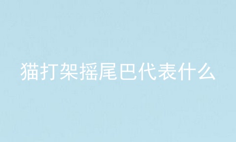 猫打架摇尾巴代表什么